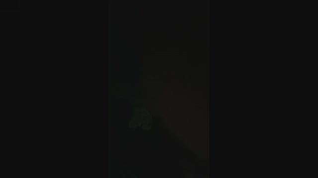 chat_with_bel  20-08-2022